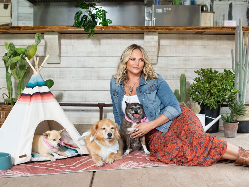 Miranda Lambert with shelter dogs